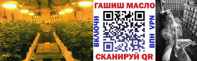 купить закладку Выкса Дистиллят ТГК концентрат