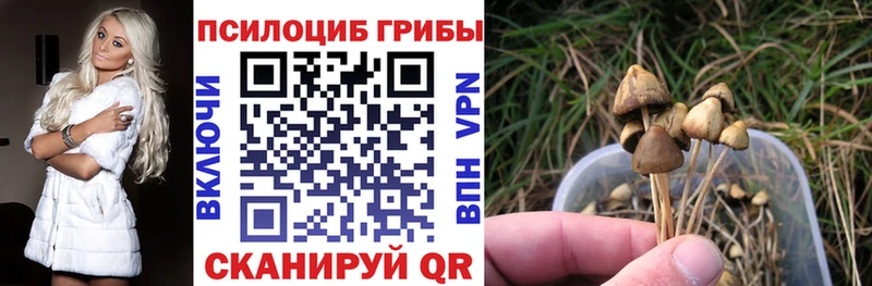 магазин продажи   мега сайт  Галлюциногенные грибы Psilocybine cubensis  Выкса 
